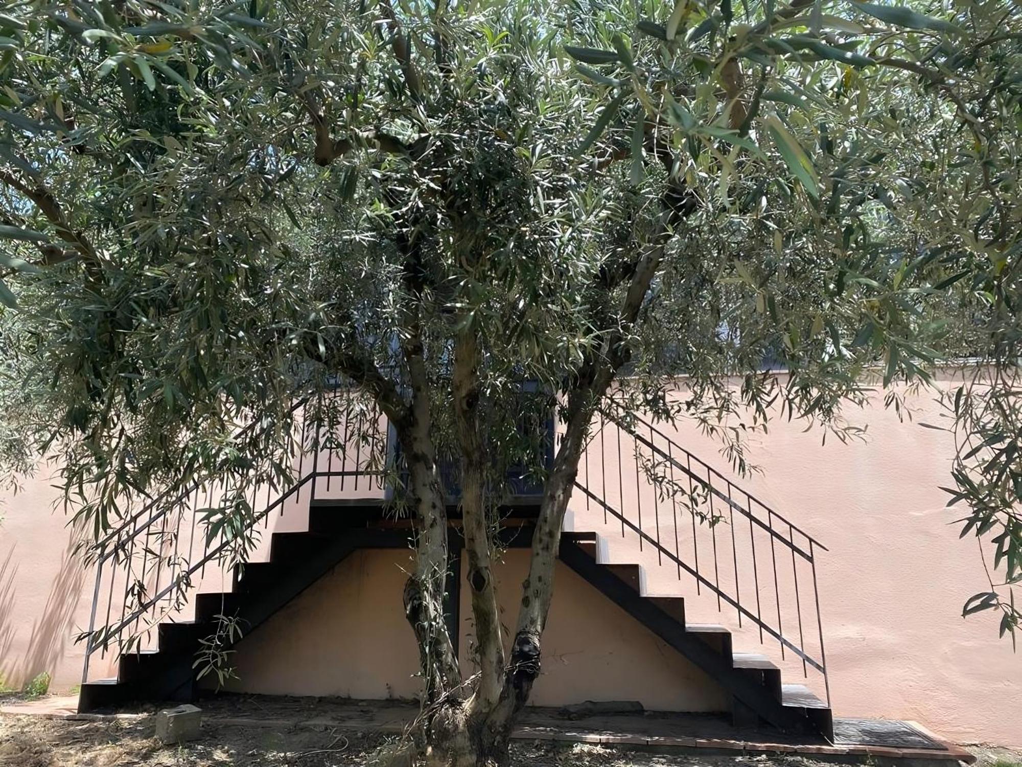 Agriturismo Gianferrante Paterno  Exterior foto