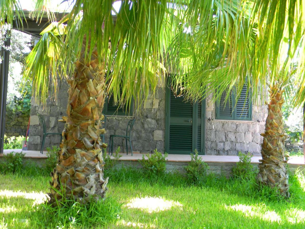 Agriturismo Gianferrante Paterno  Exterior foto