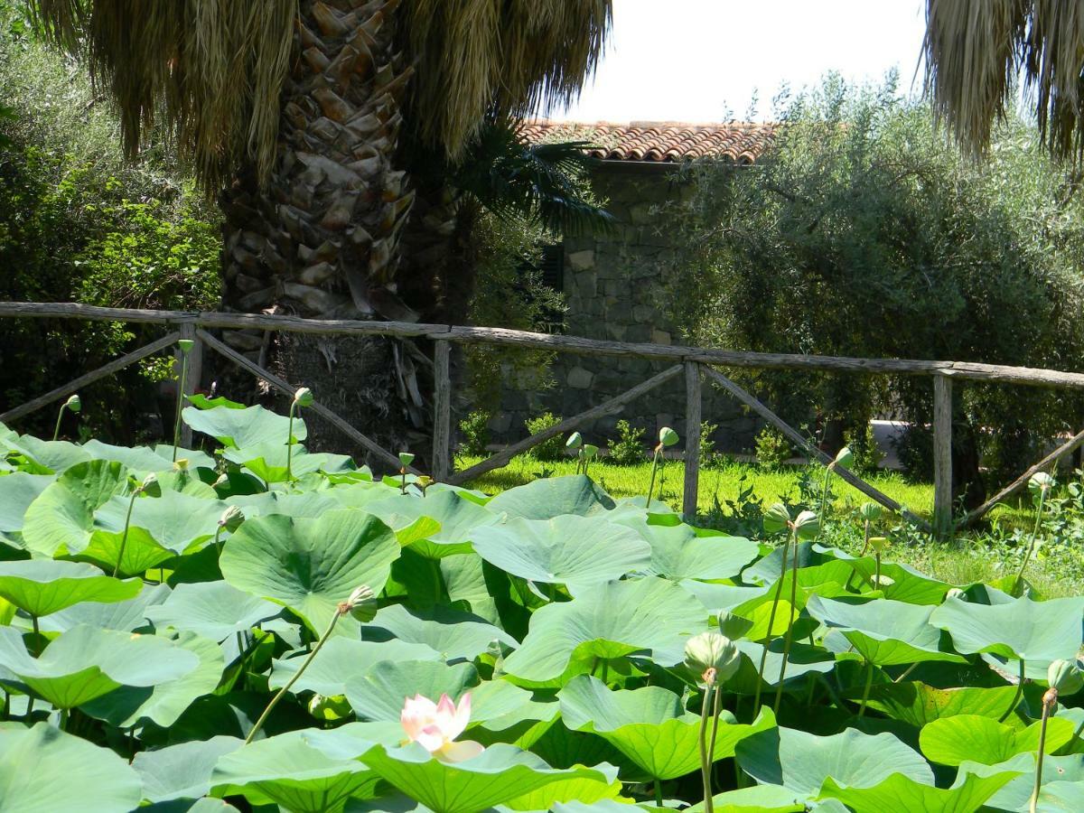 Agriturismo Gianferrante Paterno  Exterior foto